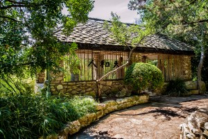 AustinGarden_20120606_28Asm