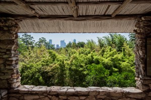 AustinGarden_20120606_29Asm