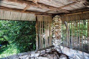 AustinGarden_20120606_32ASM