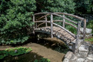 AustinGarden_20120606_55Asm