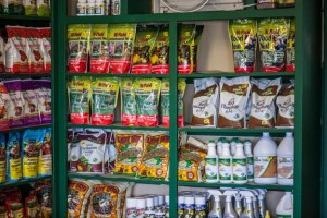 FtWorth_20120608_195Asm