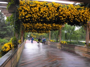 bridge with seasonal floral display