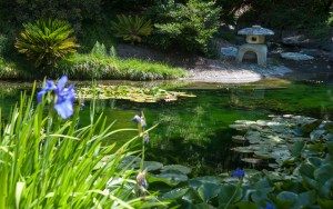 (photo by Bill F. Eger)