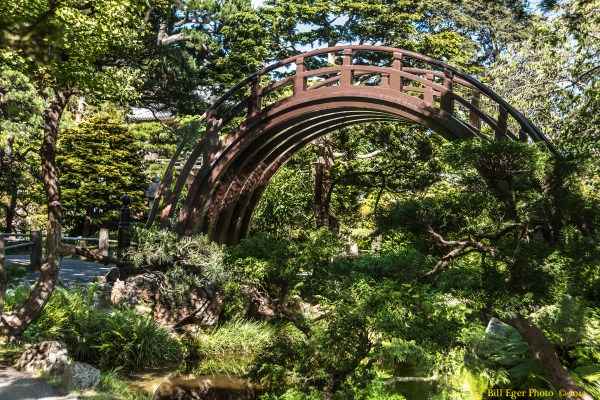 San Francisco Japanese Gardens