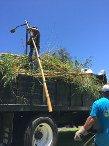 Wally Wong, president of Rotary Club of Hilo, hands bamboo up to landscape architect David Tamura