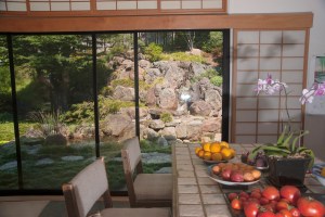 a view from the kitchen