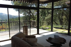 living room furniture is arranged to include the view and the garden