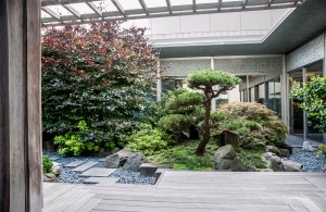 Japanese roof top garden