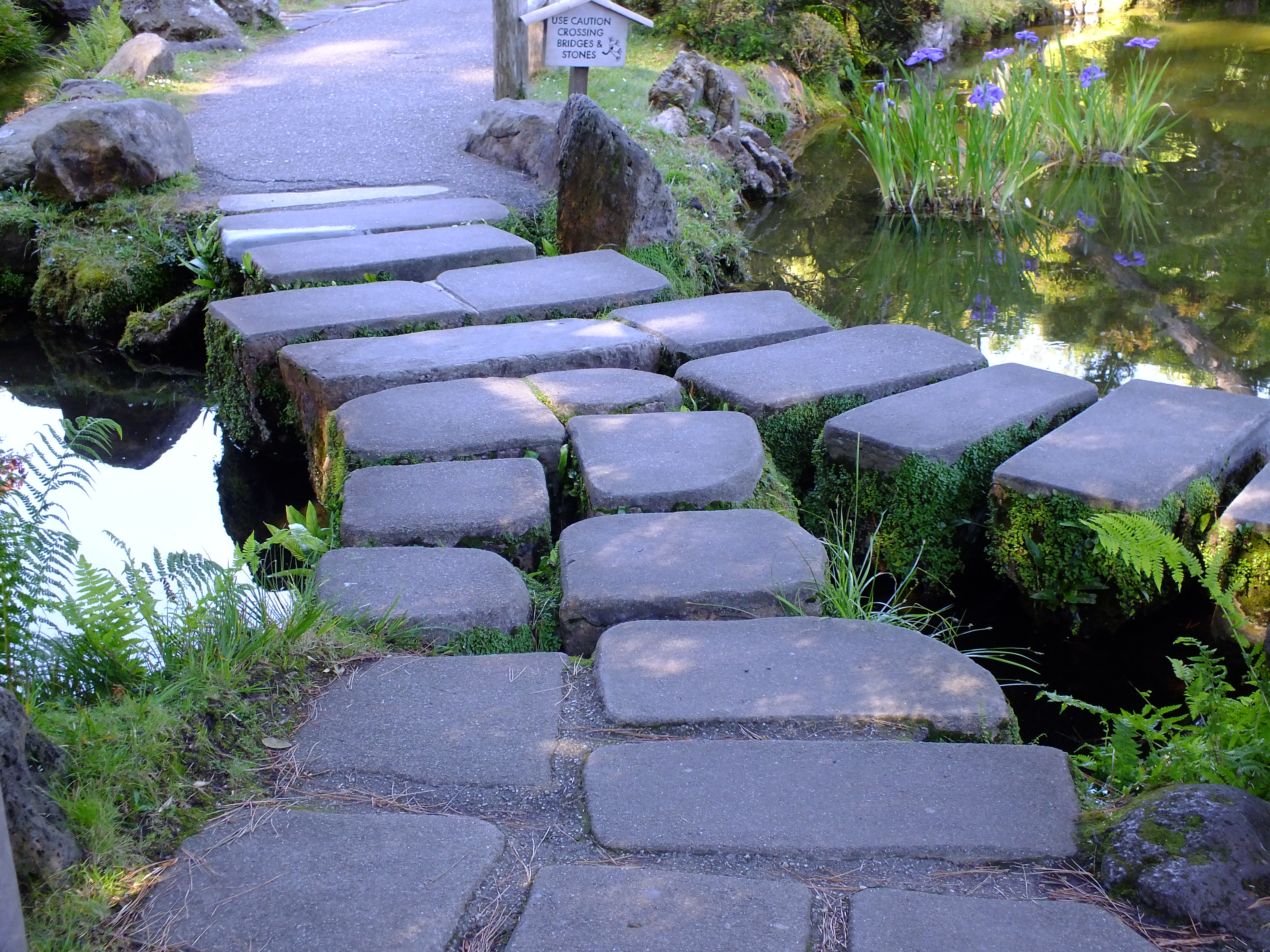 San Francisco Japanese Gardens
