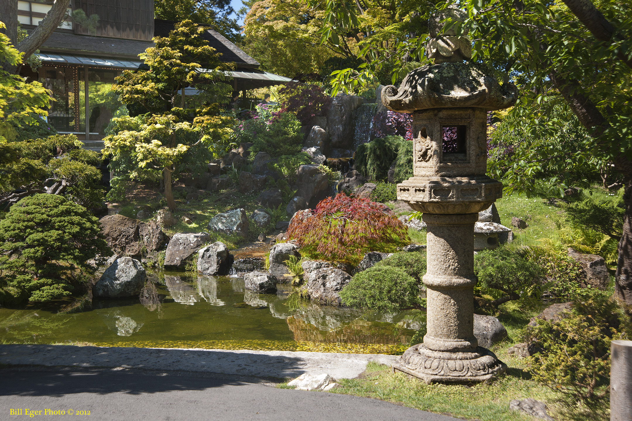 San Francisco Japanese Gardens