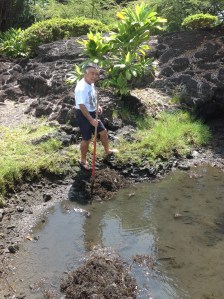 mucking out spring-fed pond to remove invasive seaweed