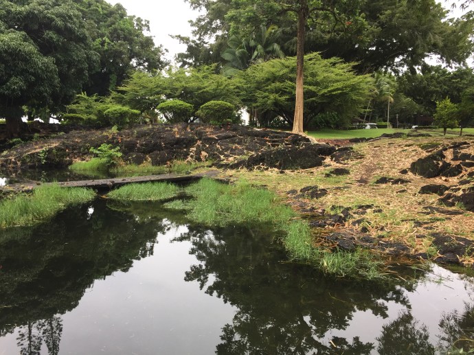 cleanpondbefore_1790