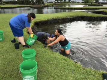 UH-Hilo students join in the fun at Waihonu to remove decades of accumulated muck and search for buried treasure.