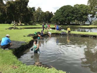 More hands are needed for continued pond cleaning.